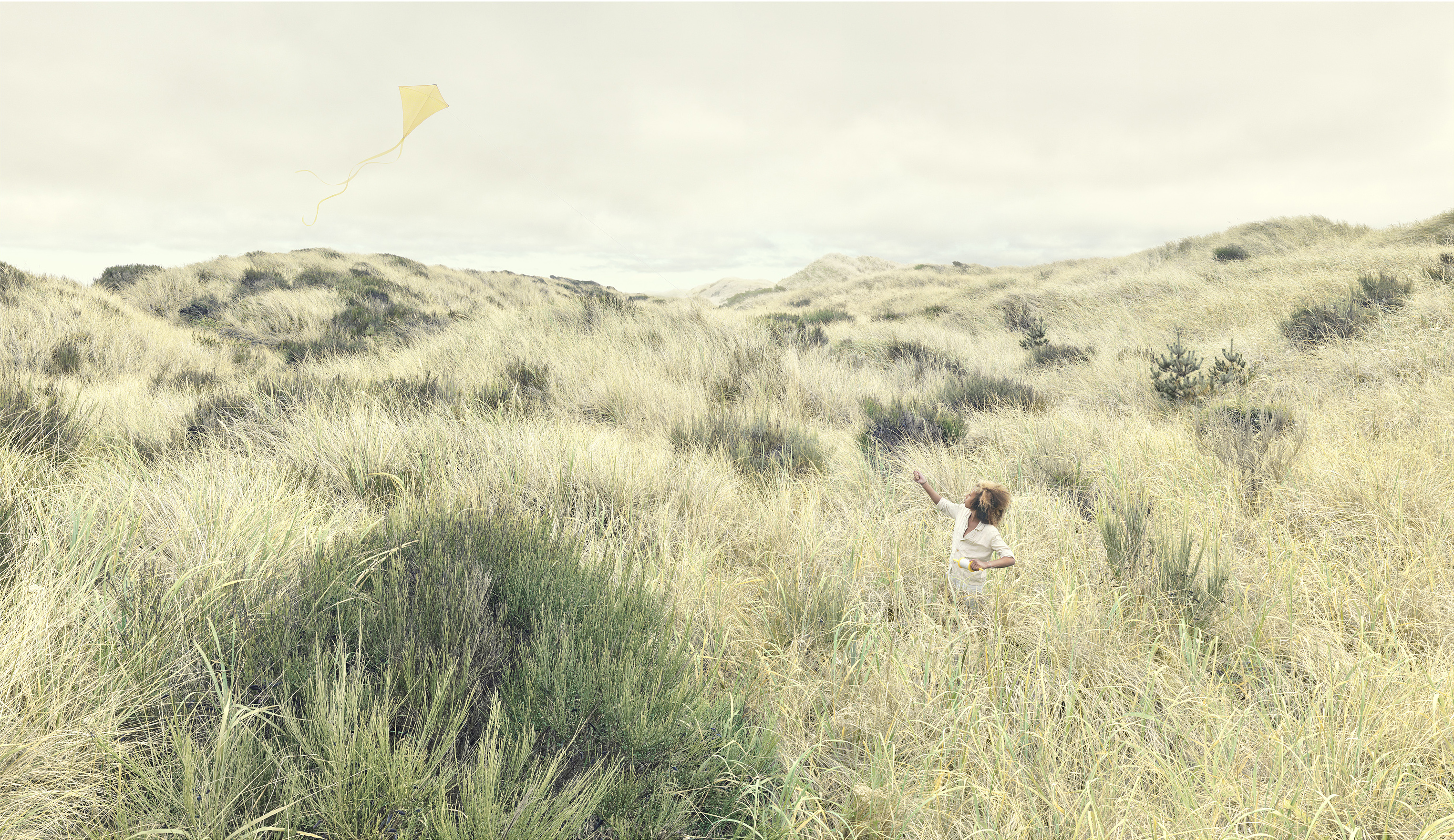 Tall Grass and Kite