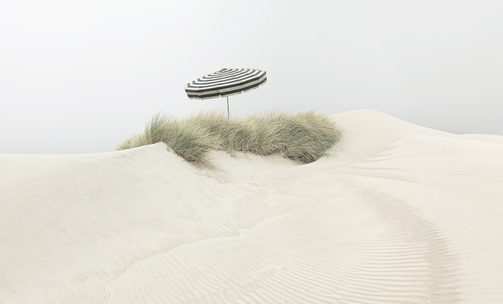 Umbrella on Dune